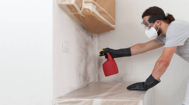 Professional Bathroom Mold Removal technician working in Kennedyville, MD
